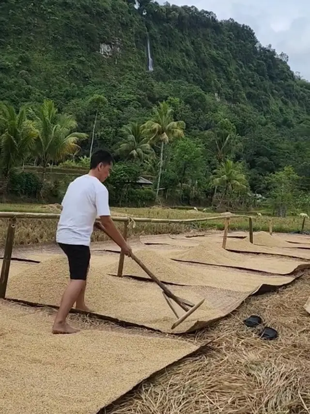 Ayah Lesti Kejora Jadi Petani