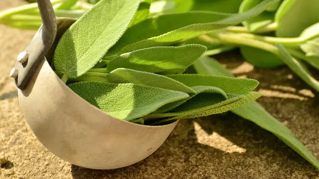 sage