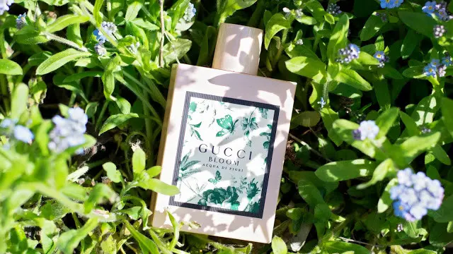 Sensasi Aroma Segar dan Lembut dari Wewangian Terbaru Gucci
