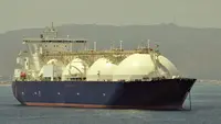 PGN Bakal Serap LNG dari Blok Masela