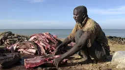 Nelayan memotong daging hiu hasil tangkapan di Pantai Mballing, Dakar, Senegal (1/4/2016). Daging hiu biasanya dikonsumsi, dijual di pasar lokal, hingga diekspor ke negara tetangga. (AFP Photo/Seyllou)
