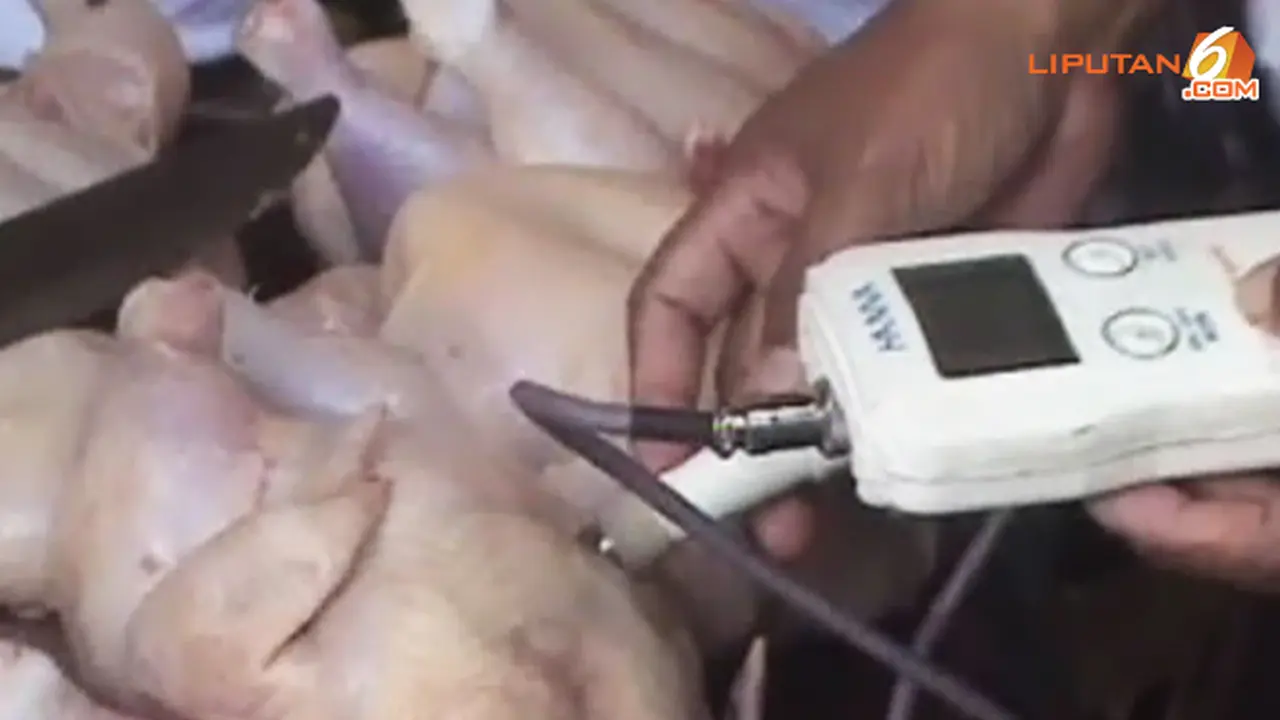sidak-daging-ayam-130707-b.jpg