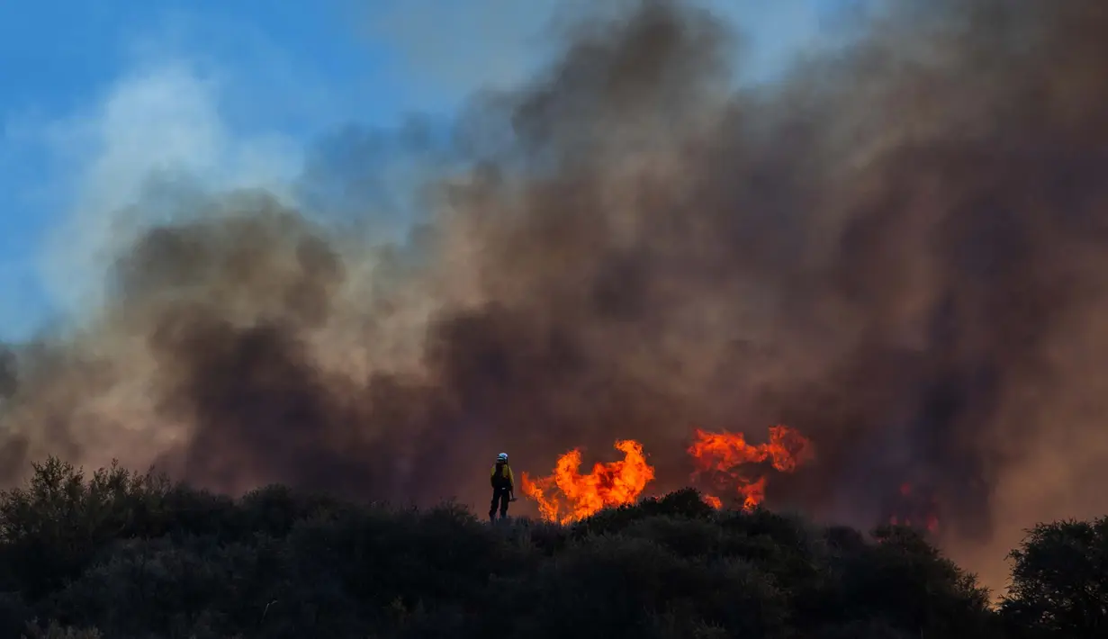 Lebih dari 2.800 hektar hutan hangus terbakar pada kebakaran yang terjadi dan meluas sejak Senin (9/12/2024) malam waktu setempat. (Apu Gomes/Getty Images North America/Getty Images via AFP)