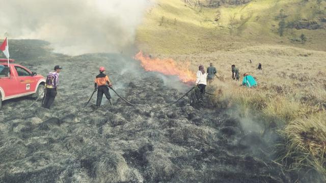 Penyebab Puluhan Hektar Hutan di Gunung Bromo Terbakar
