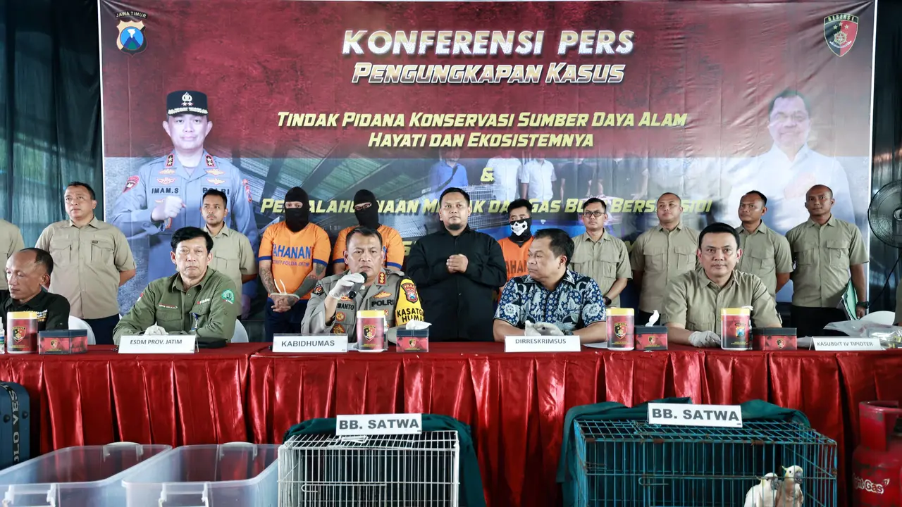 Polda Jatim mengamankan pelaku perdagangan satwa ilegal. (Istimewa)