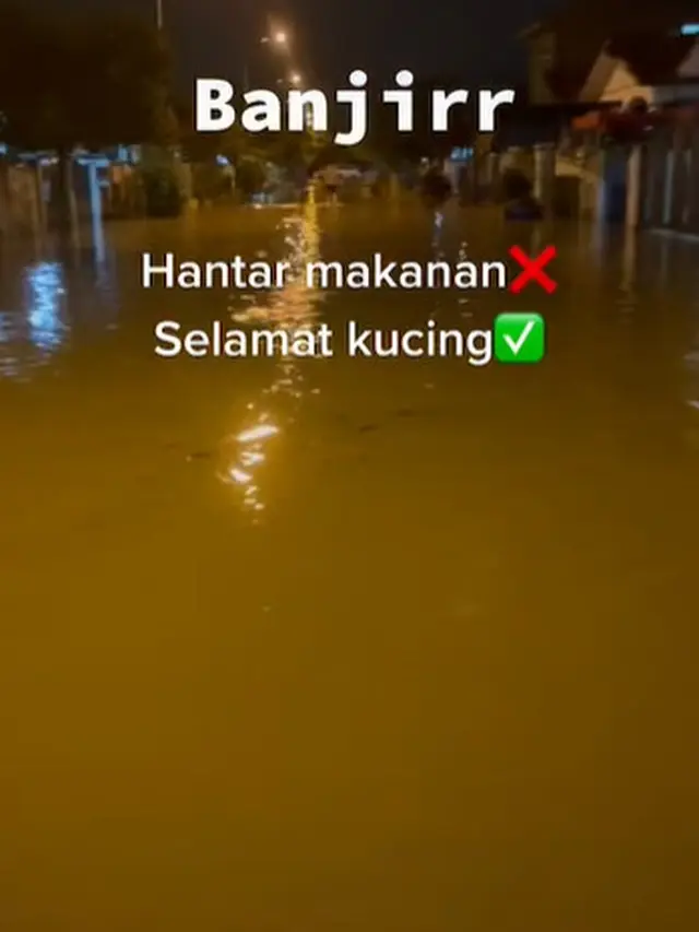 Aksi Heroik Ojol Selamatkan Kucing saat Banjir Ini Tuai Apresiasi Warganet