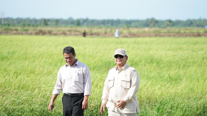 Prabowo Beri Tanda Kehormatan ke Petani hingga Mentan karena Capaian Swasembada Beras