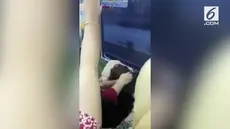 Dalam video tersebut, tampak dua wanita itu saling menjambak.