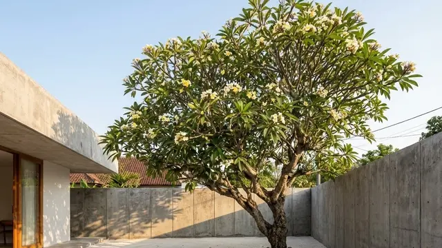 Kebun Estetik Bisa Jadi Hiasan Rumah