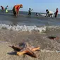 Warga mencari kerang laut di pesisir pantai Pulau Pasir, Lombok Timur, Sabtu (3/8/2019). Mereka mulai menangkap kerang ketika Pulau Pasir yang membentang laut akan tampak ketika air laut surut. (Liputan6.com/Fery Pradolo)