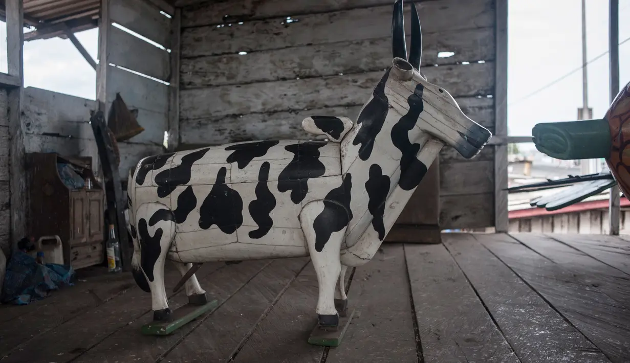 Peti mati berbentuk sapi yang dibuat oleh Hello Design Works Coffin di Accra, Ghana (10/10). Di Ghana orang yang meninggal akan dimasukan ke dalam peti mati yang melambangkan segala hal kehidupannya. (AFP Photo/Stefan Heunis)