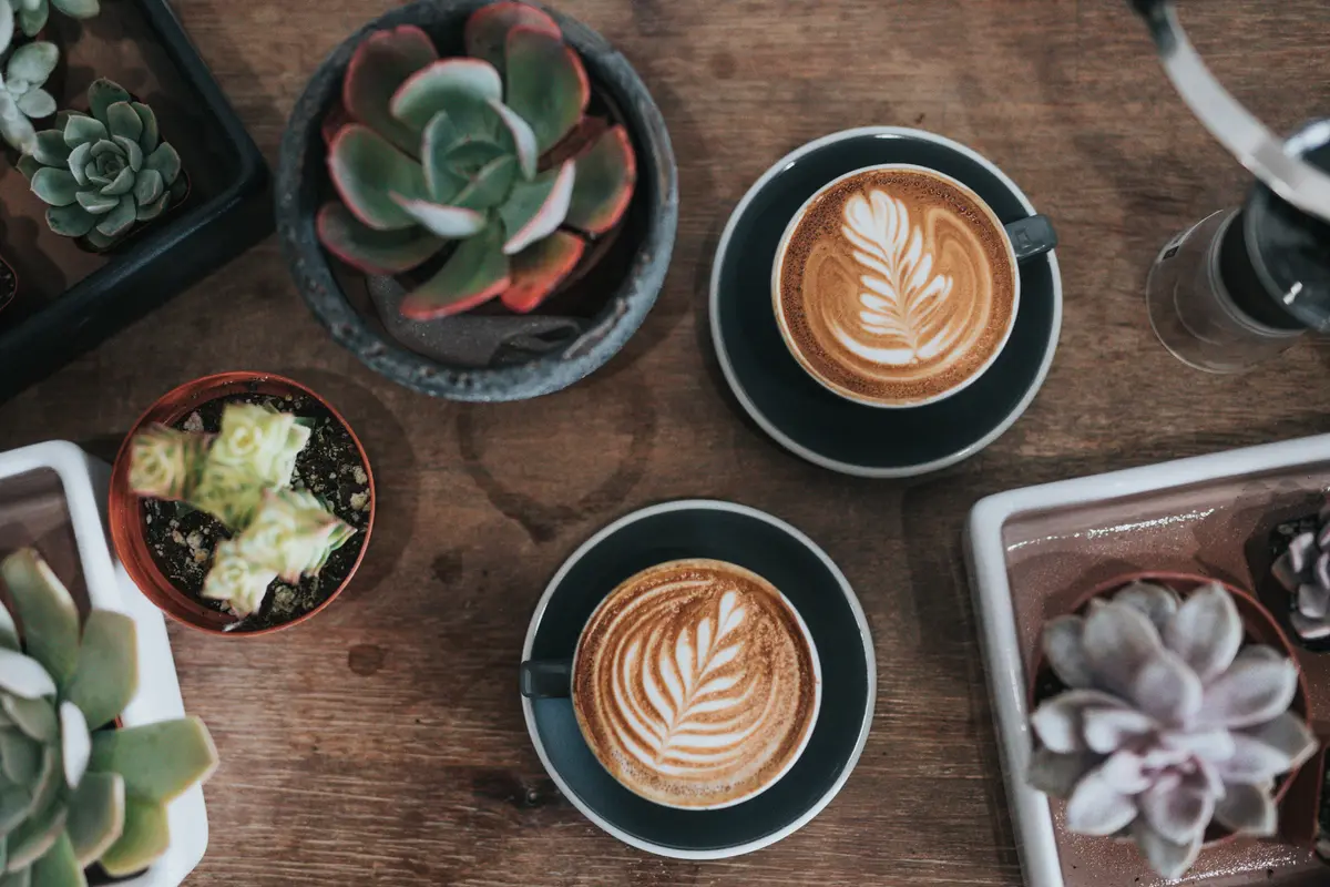 Dampak Positif Kopi Terhadap Kesehatan Tubuh
