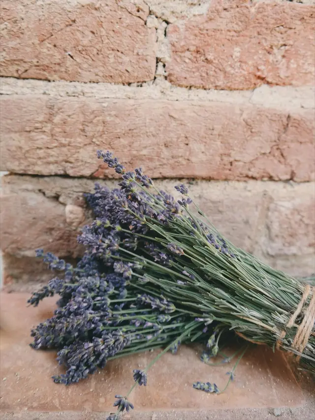 Trik Menjaga Kamar Mandi Selalu Wangi Segar, Bebas dari Bau Tak Sedap yang Mengganggu
