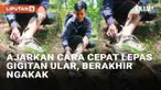 Bagi sebagian orang, gigitan ular membuat panik dan tak sanggup berkutik. Namun seorang pria baru-baru ini viral mengajarkan langkah melepas gigitan ular dengan cepat. Ia hanya membutuhkan satu jari untuk membuat ular melepaskan diri dari gigitan di ...