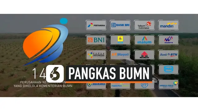 VIDEO: Erick Thohir Bakal Pangkas BUMN Jadi 100 Perusahaan