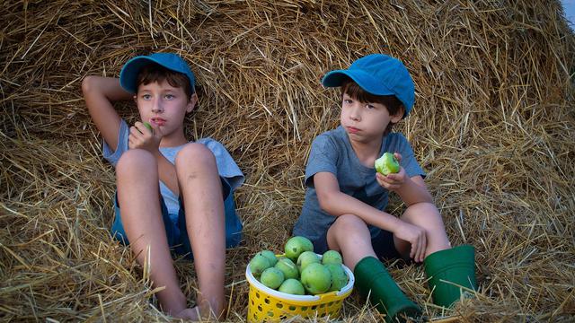 Apa Itu Orthorexia? Orthorexia Adalah Gangguan Makan Berupa Obsesi Makan Sehat Sehingga Menganggap yang Lain Tidak Sehat. Kenali Gejala, Penyebab, hingga Penanganannya. (Image by Victoria_Regen from Pixabay)