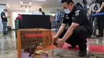 Petugas mengambil foto satwa liar yang dilindungi burung beo Nias yang disita di Mapolda Metro Jaya, Kamis (28/1/2021). Sub Direktorat 3 Sumber Daya Alam dan Lingkungan di Ditreskrimsus Polda Metro Jaya meringkus seorang pria lantaran memperdagangkan satwa dilindungi. (Liputan6.com/Herman Zakharia)