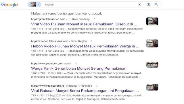 Gambar Tangkapan Layar Penelusuran Foto Menggunakan Situs Google Images.