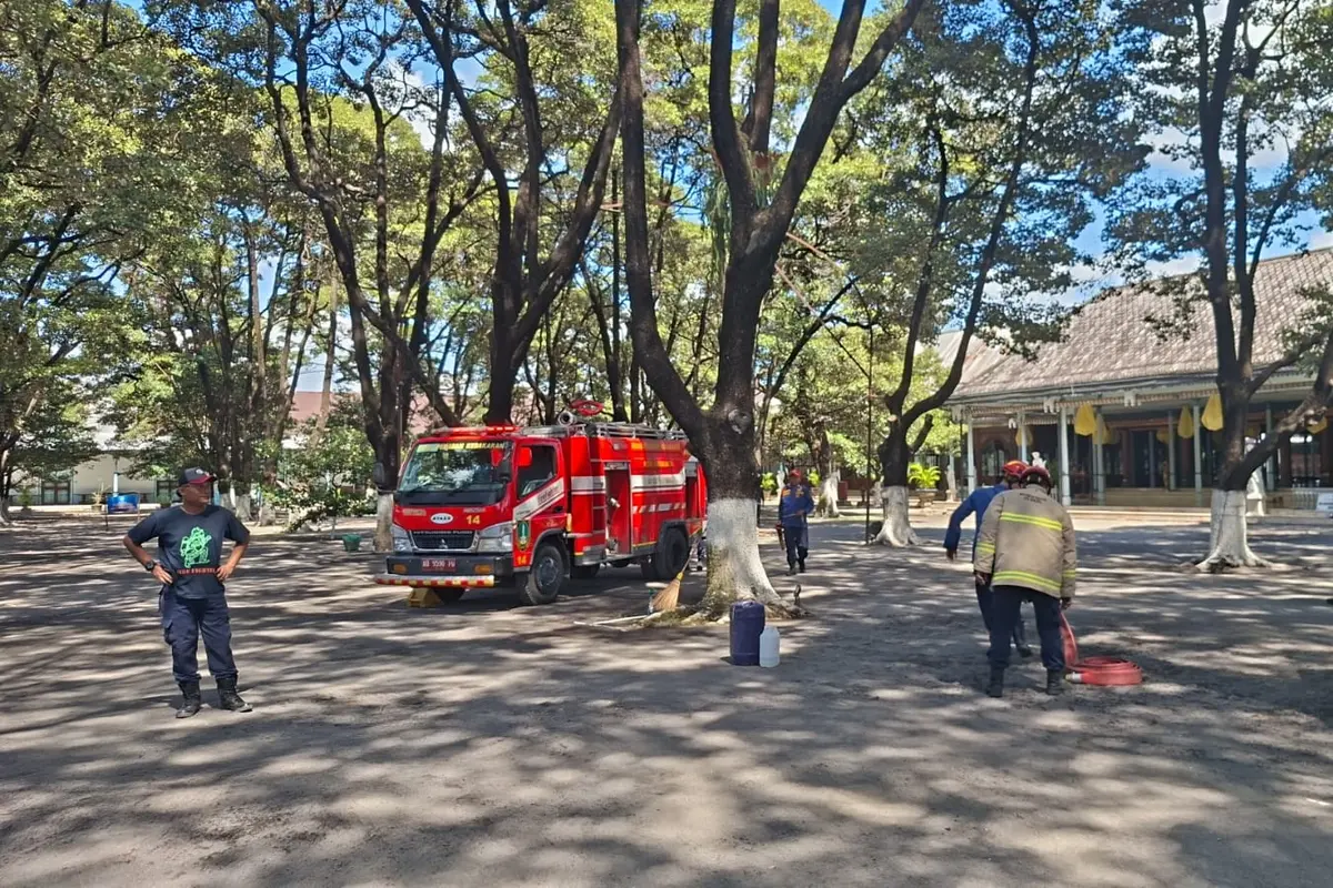 Petugas Damkar evakuasi sarang tawon di Keraton Surakarta. (Merdeka.com/Arie Sunaryo)