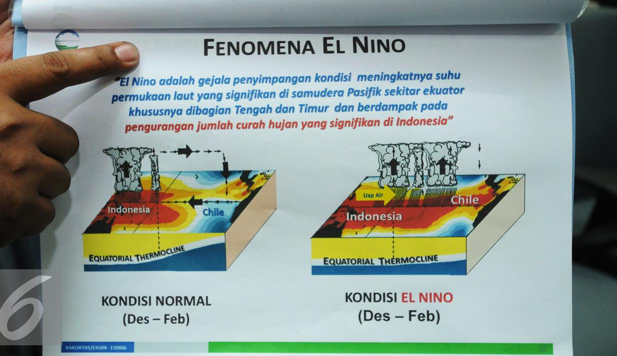 Petugas BKMG menunjukkan grafik fenomena El Nino di gedung BMKG, Jakarta, Jumat (7/8/2015). BMKG memprediksi disebagian wilayah Indonesia akan kekeringan hingga Desember mendatang. (Liputan6.com/Helmi Fithriansyah)