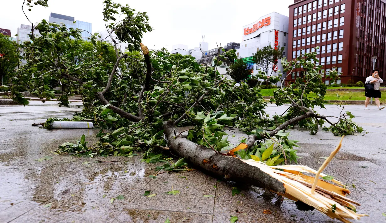 Sebuah pohon tumbang setelah topan melanda Fukuoka, barat daya Jepang, Senin (7/9/2020). Topan yang merupakan badai kuat kedua yang melanda wilayah tersebut dalam sepekan ini menyebabkan sejumlah orang terluka dan banyak bangunan rusak. (Kyodo News via AP)