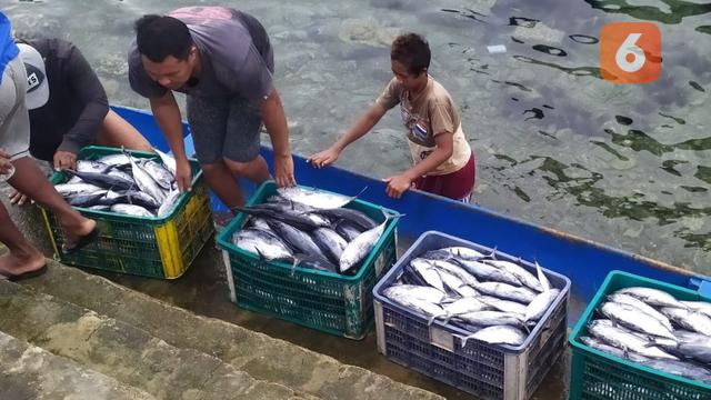aktifitas warga di Pelabuhan Pendaratan Ikan (PPI) Donggala