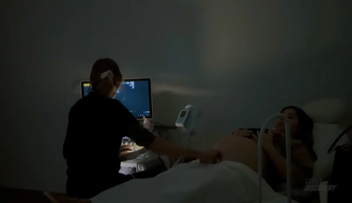 Nikita Willy (Youtube/Nikita Willy Official)