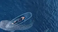 6 Potret Tiara Andini Pamer Berenang Bareng 2 Hiu Paus di Gorontalo, Full Keseruan Jadi Sorotan