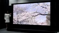 Dikembangkan Sejak 1995, TV 8K Baru Siap Hadir di Tahun 2020