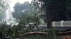 (Liputan6 TV)