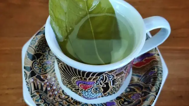 minuman daun salam