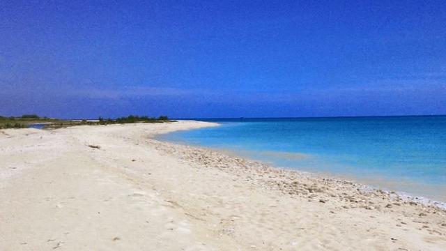 Ilustrasi air dan laut