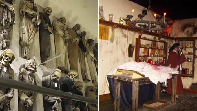 Foto dari berbagai sumber