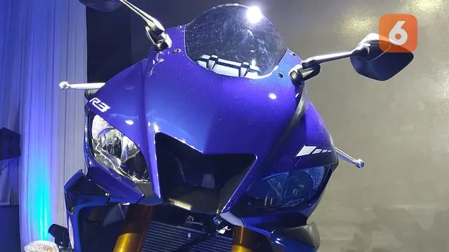 Yamaha R25