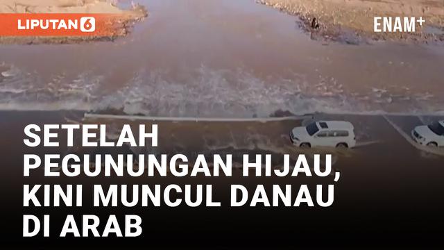 Geger! Danau Muncul di Arab Saudi