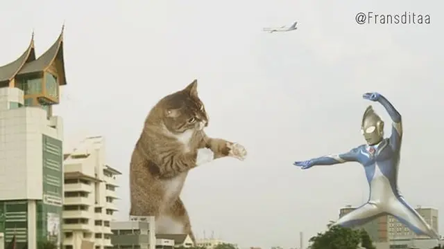 Meme Kucing Menguasai Dunia