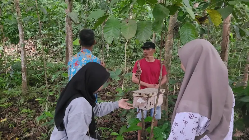 Budidaya Tawon Klanceng di sejumlah Gumuk di wilayah Jember (Istimewa)