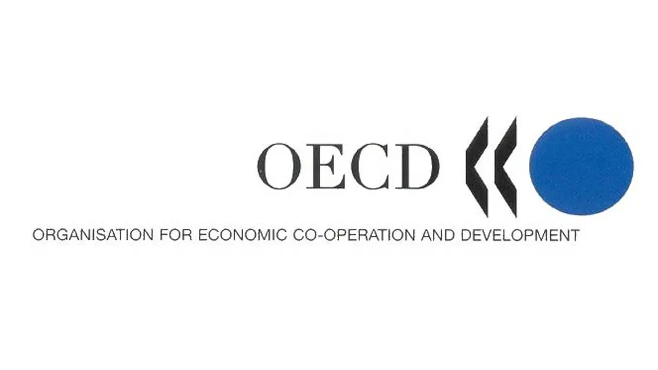 oecd-130907b.jpg