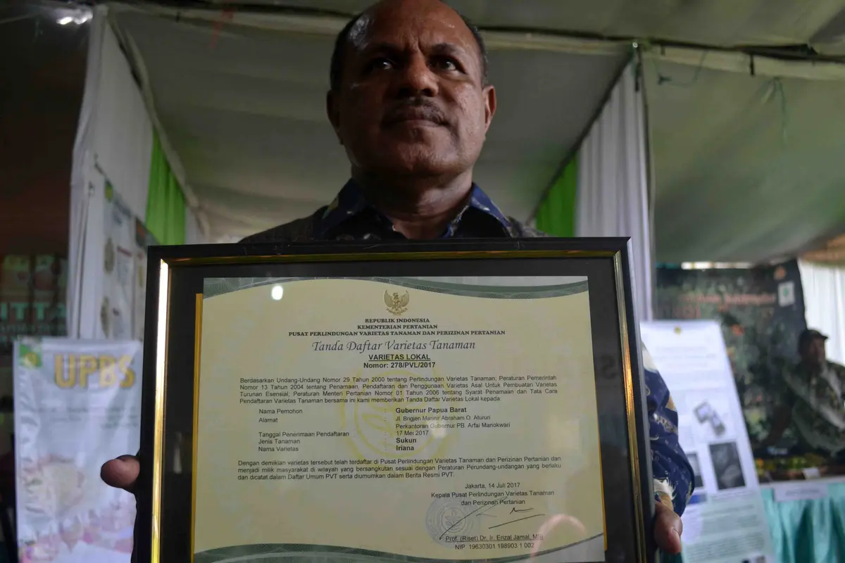 Iriana Jokowi Diusulkan Jadi Nama Buah Sukun Varietas Papua