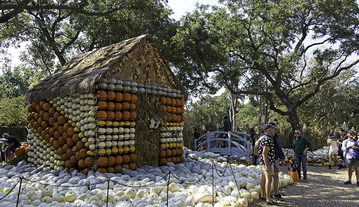 Orang-orang berfoto di depan rumah labu di Desa Labu Dallas Arboretum, Texas, Amerika Serikat, 4 Oktober 2020. Desa Labu di Dallas Arboretum yang mendapat pengakuan nasional menghadirkan rumah-rumah labu dan berbagai objek kreatif dari 90.000 lebih labu, kundur, dan squash. (Xinhua/Dan Tian)