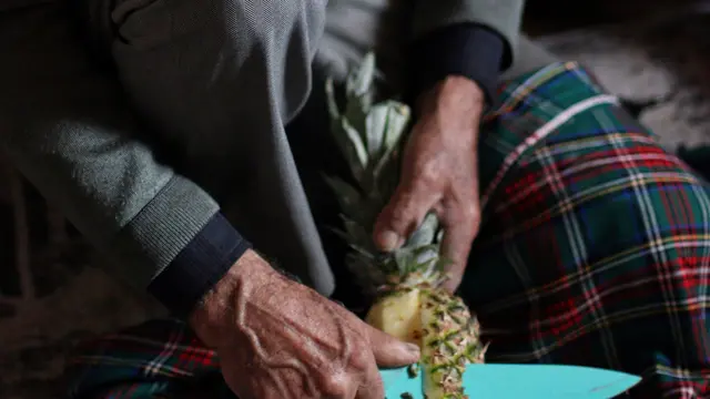 Manfaatkan Bonggol dan Kulit Nanas