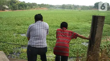 Warga melihat Setu Pengarengan yang dipenuhi eceng gondok di kawasan Depok, Jawa Barat, Selasa (8/10/2019). Tidak kunjung dibersihkan menjadi penyebab seluruh permukaan setu tersebut dipenuhi tanaman eceng gondok. (Liputan6.com/Immanuel Antonius)