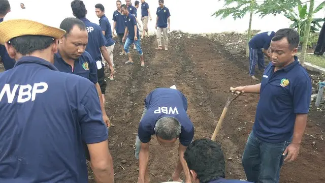 Aksi Tanam Cabai 