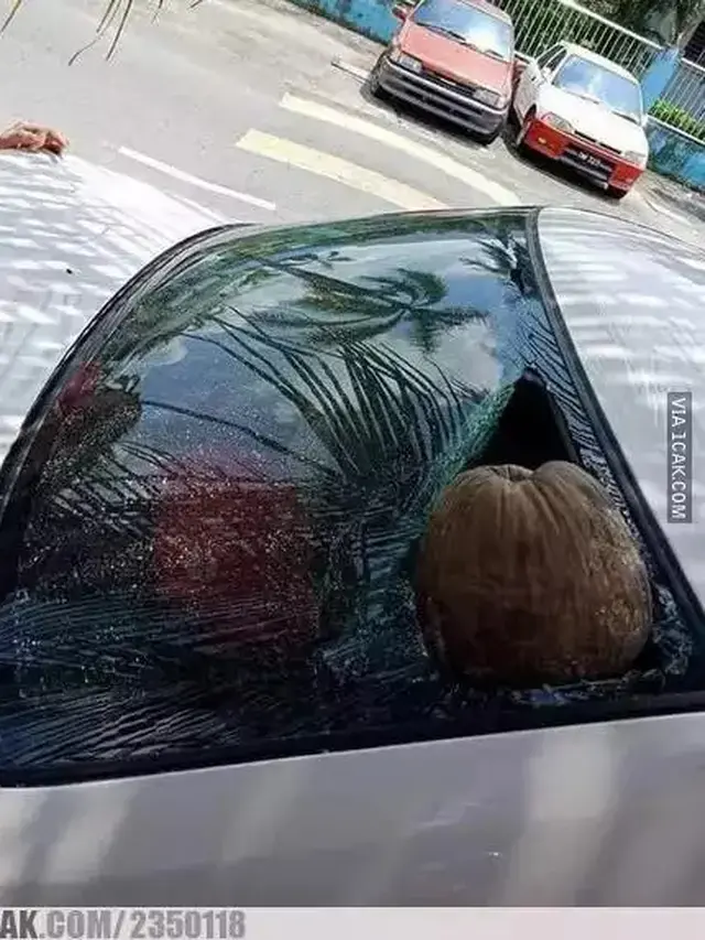 6 Momen Apes Mobil Tertimpa Buah saat Sedang Diparkir Ini Bikin Elus Dada