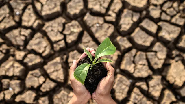 Global Warming