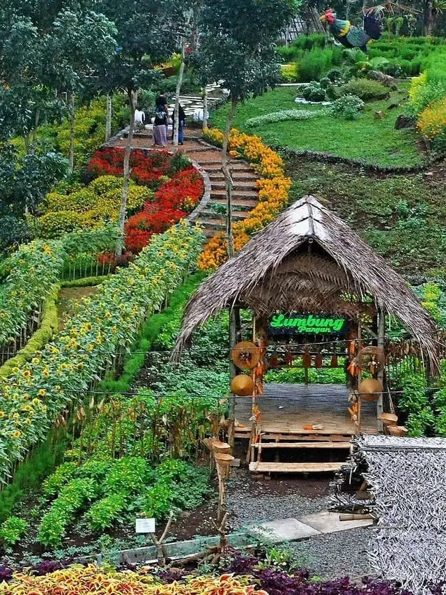 30 Tempat Wisata di Banyuwangi yang Wajib Dikunjungi, Surga Tersembunyi di Ujung Timur Jawa
