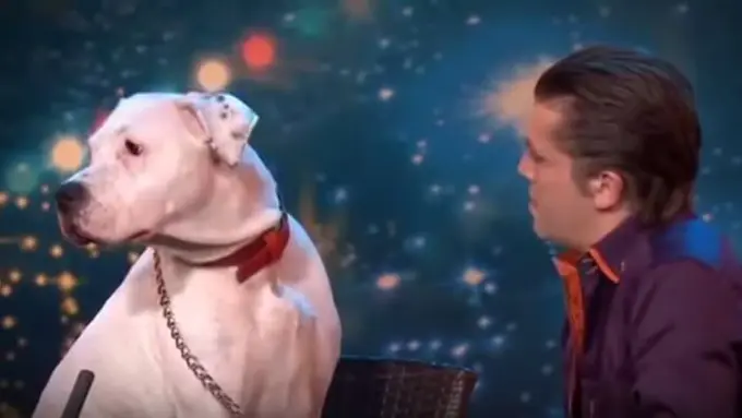 Anjing Lucu Nyanyikan Lagu Whitney Houston 'I Will Always Love U'