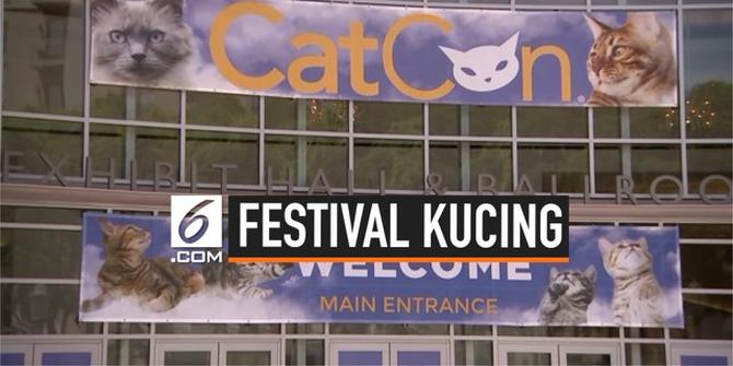VIDEO: Festival Catcon, Ajang Terbesar Bagi Pecinta Kucing