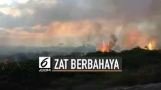 Asap dari kebakaran hutan mengandung gas dan partikel berbahaya.