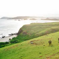 Bukit Merese, Lombok, NTB. (Sumber Foto: The Langkah Travel)